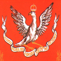 Stowarzyszenie Żołnierzy Narodowych Sił Zbrojnych 