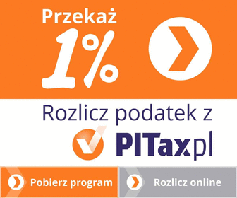 Rozliczenie PIT online -PITAX.pl