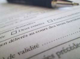 Informacje zawarte w pit-11