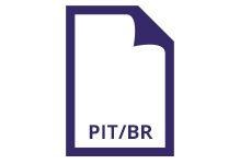 Реле pit 40a