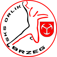 Logo OPP