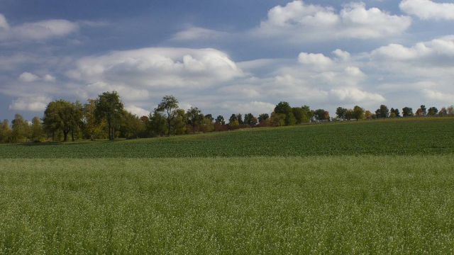 Rozliczenie PIT