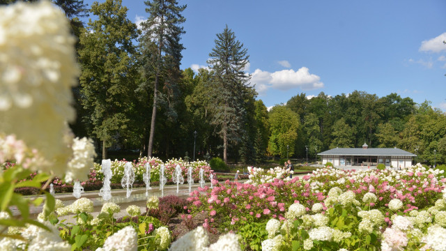 Rozliczenie PIT
