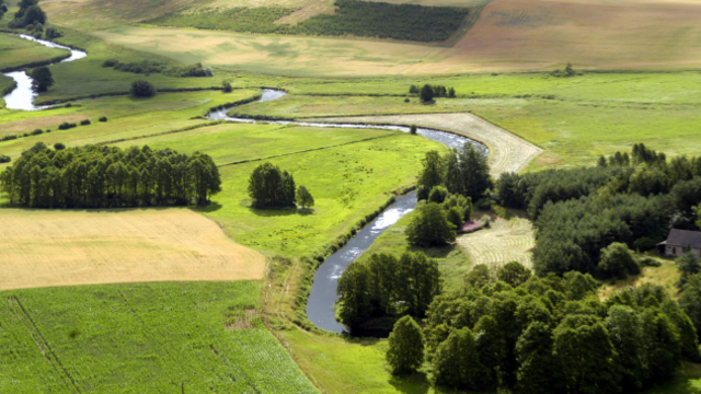 Rozliczenie PIT