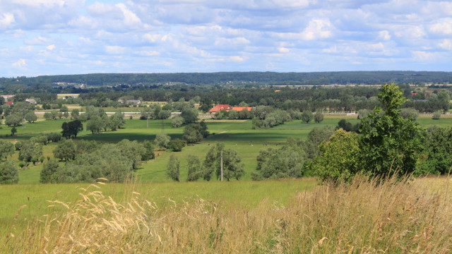 Rozliczenie PIT