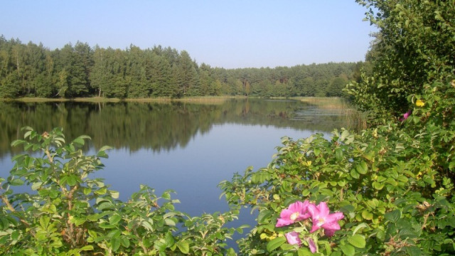 Rozliczenie PIT