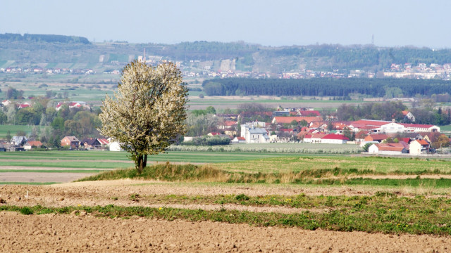 Rozliczenie PIT