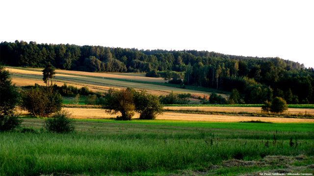 Rozliczenie PIT