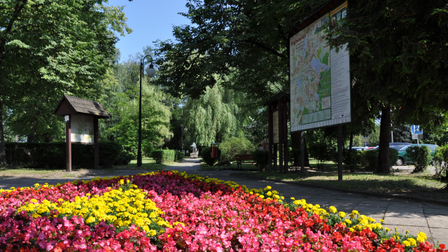Rozliczenie PIT