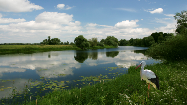 Rozliczenie PIT