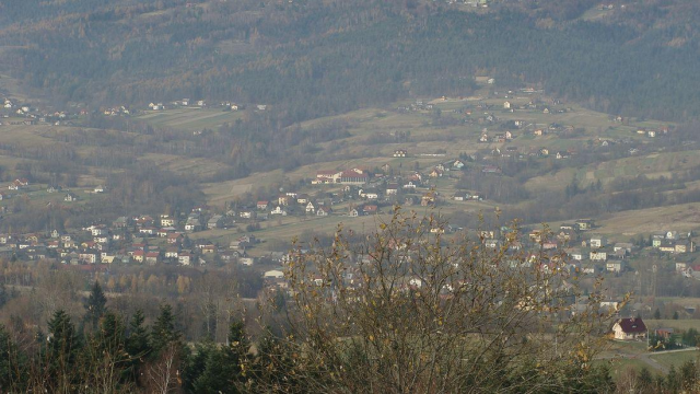 Rozliczenie PIT