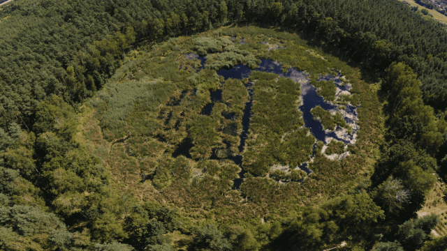 Rozliczenie PIT