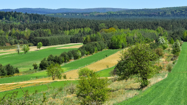 Rozliczenie PIT