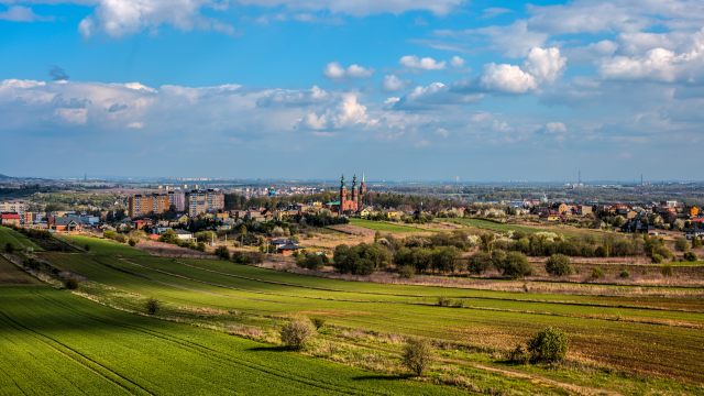 Rozliczenie PIT