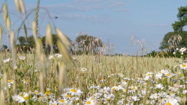 Rozliczenie PIT