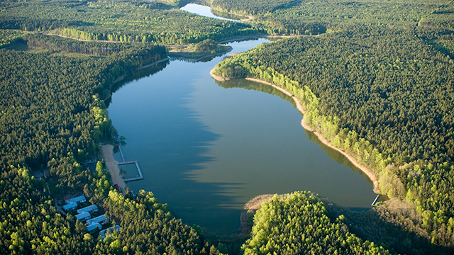 Rozliczenie PIT