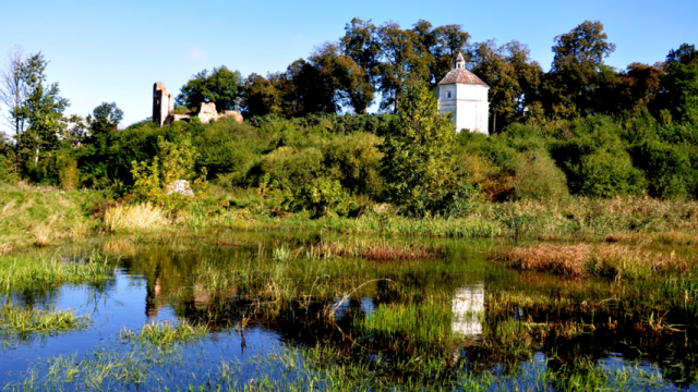 Rozliczenie PIT