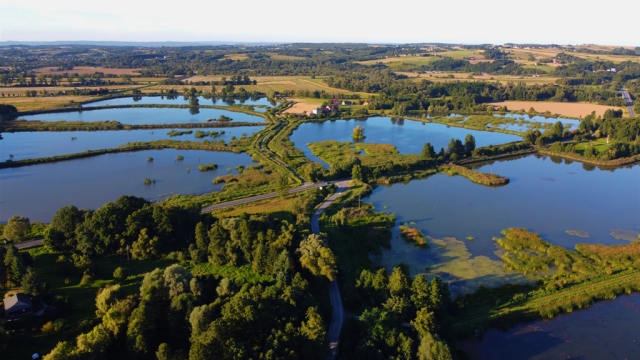 Rozliczenie PIT