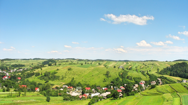 Rozliczenie PIT