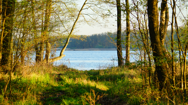 Rozliczenie PIT