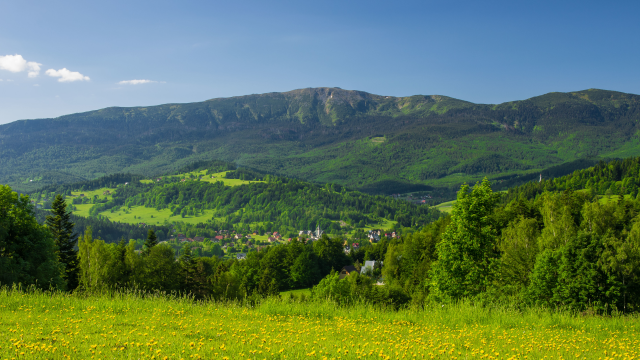 Rozliczenie PIT