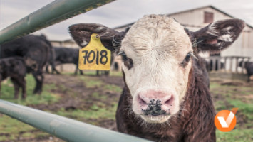 Działalność rolnicza i&nbsp;podatki z&nbsp;nią związane